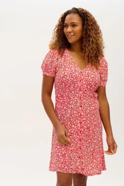 Sugarhill Brighton Red Rainbow Daisies Gail Dress