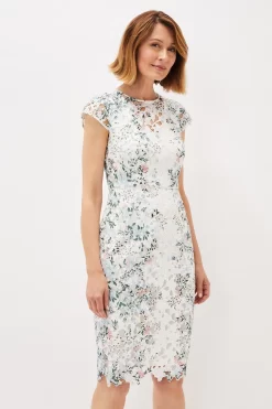 Phase Eight Franky Cream Floral Lace Fitted Dress