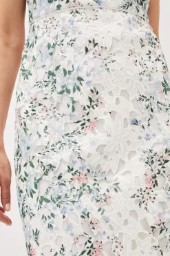 Phase Eight Franky Cream Floral Lace Fitted Dress 10 Phase Eight Franky Cream Floral Lace Fitted Dress -Roman Store U20870s4 scaled